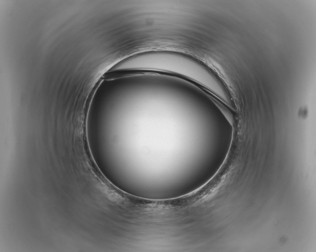 X0000090751081200708101720