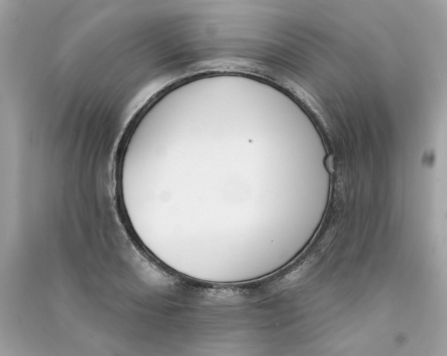 X0000090751082200708101720