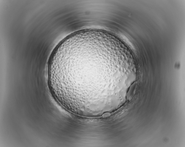 X0000090751084200708101720