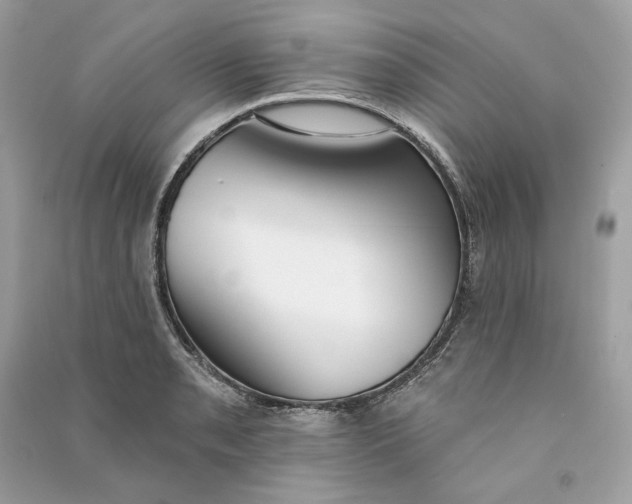 X0000090751085200708101720