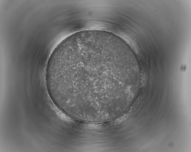 X0000090751086200708101720