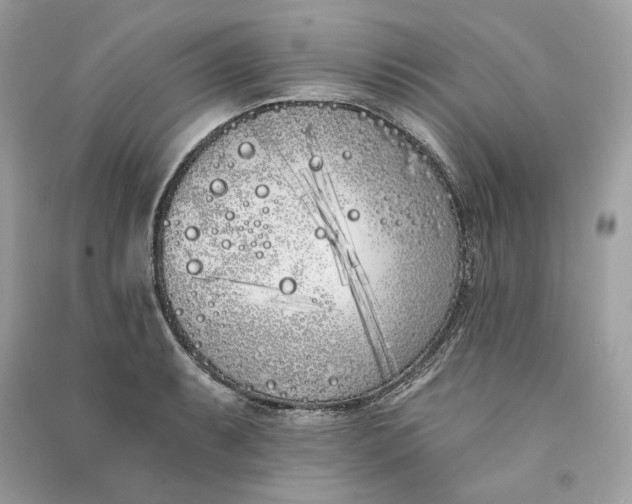 X0000090751087200708101719