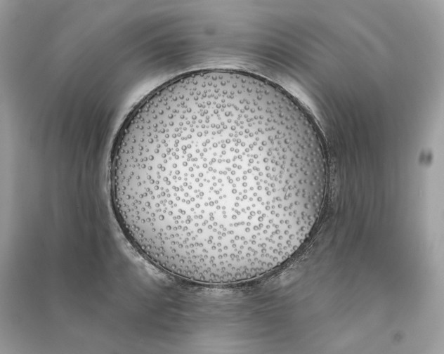 X0000090751088200708101719