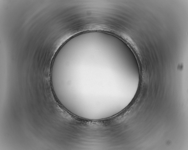 X0000090751089200708101719