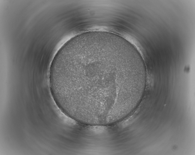 X0000090751090200708101719