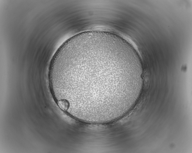 X0000090751091200708101719