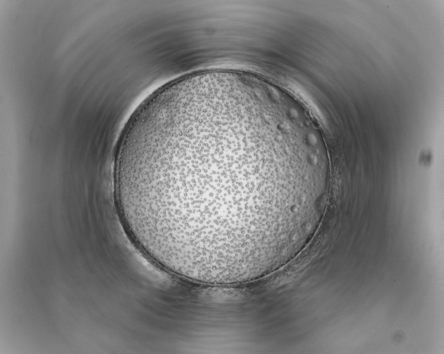 X0000090751092200708101719