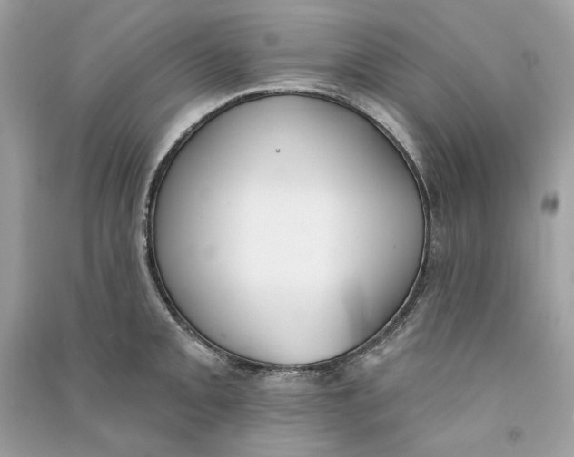 X0000090751093200708101719