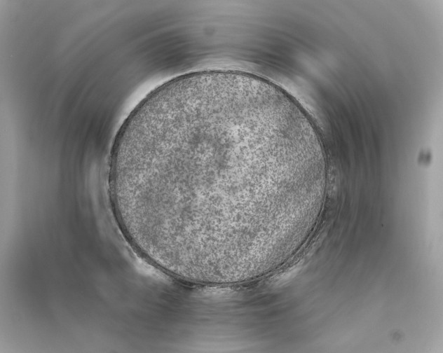 X0000090751094200708101719