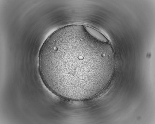 X0000090751095200708101719