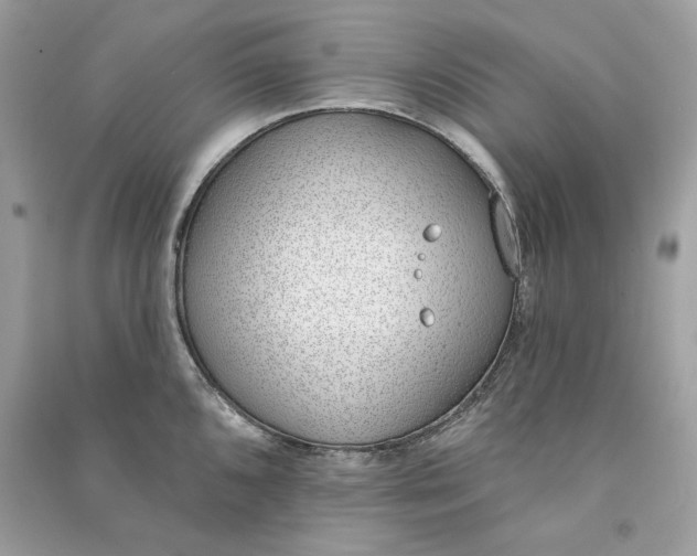 X0000090751096200708101719