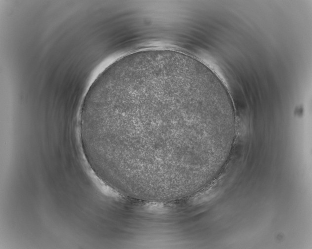 X0000090751098200708101719