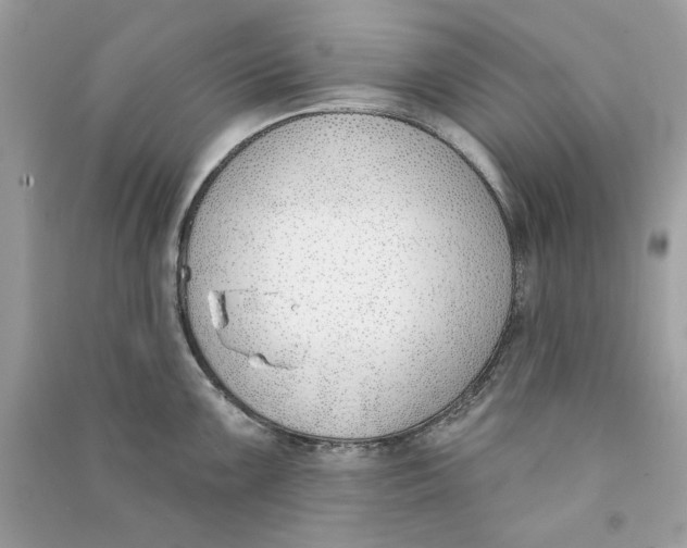 X0000090751099200708101719