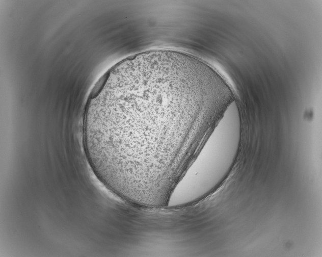 X0000090751100200708101719