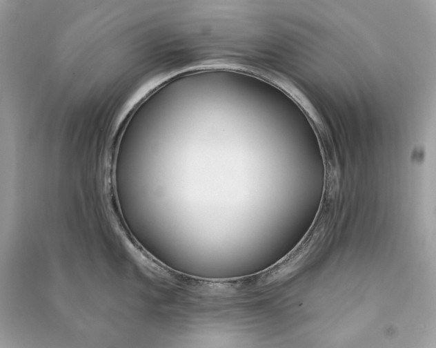 X0000090751101200708101719