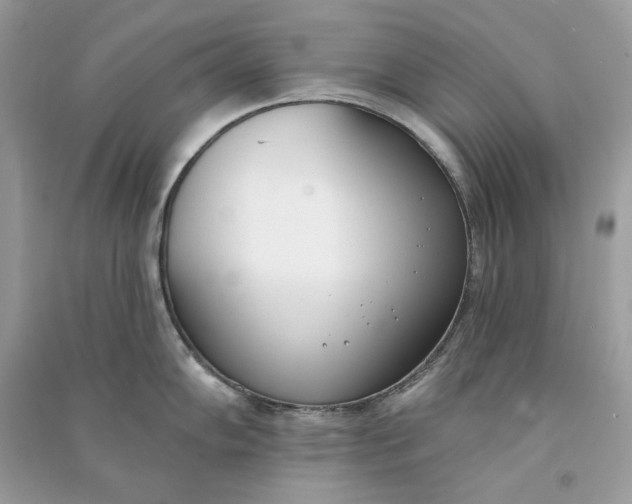 X0000090751102200708101719