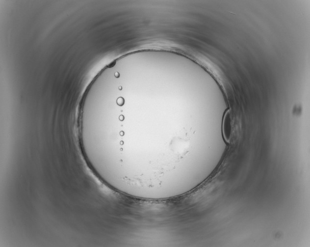 X0000090751103200708101719