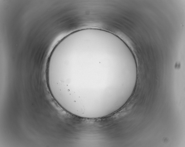 X0000090751104200708101719