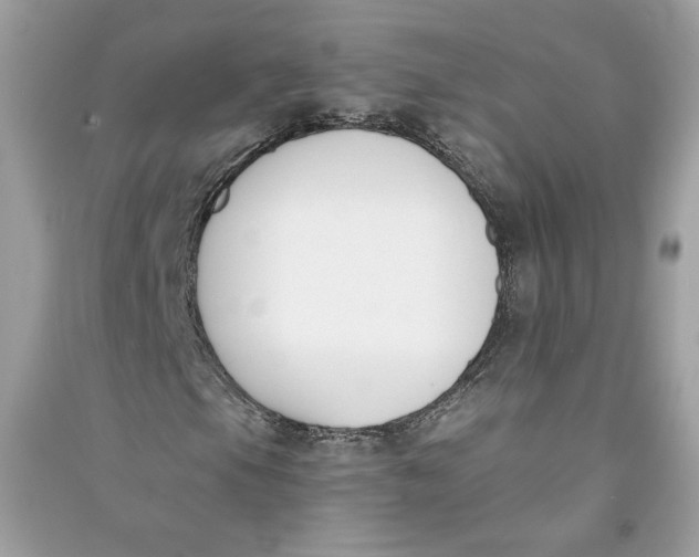 X0000090751105200708101719