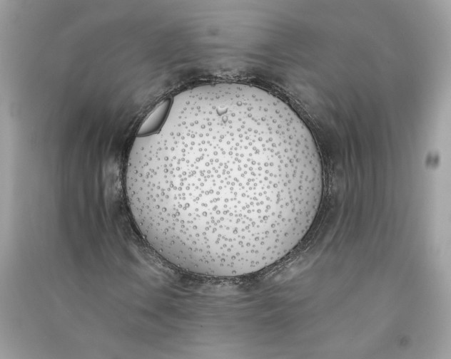 X0000090751106200708101719