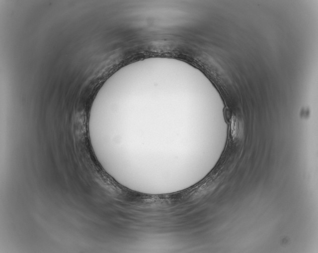 X0000090751107200708101719