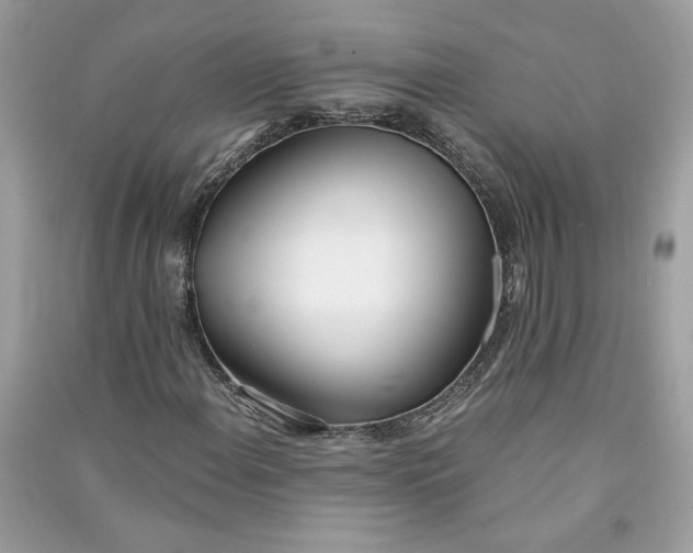 X0000090751108200708101719