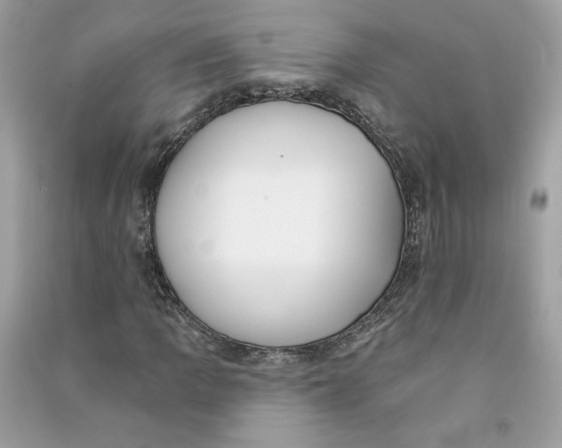 X0000090751109200708101719