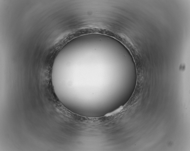 X0000090751110200708101719