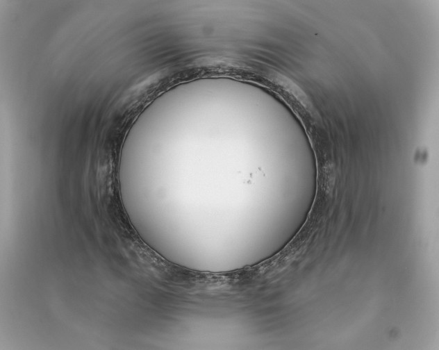 X0000090751111200708101719