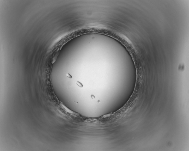 X0000090751112200708101719