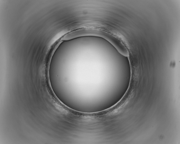 X0000090751114200708101719