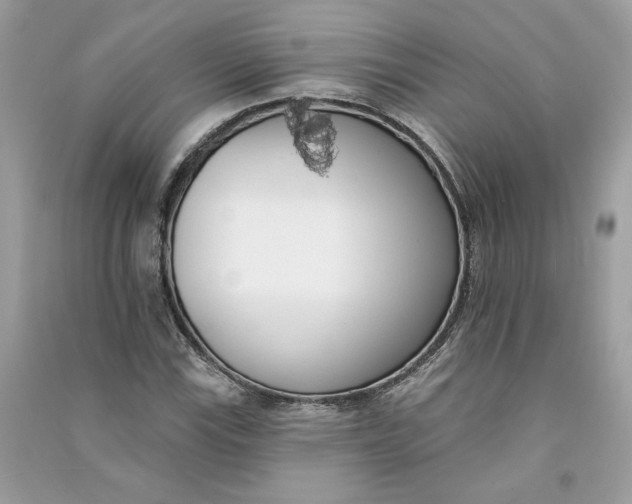 X0000090751115200708101719