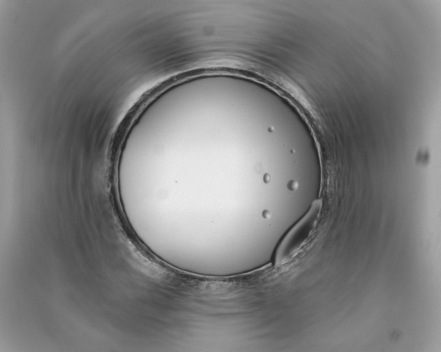 X0000090751116200708101719