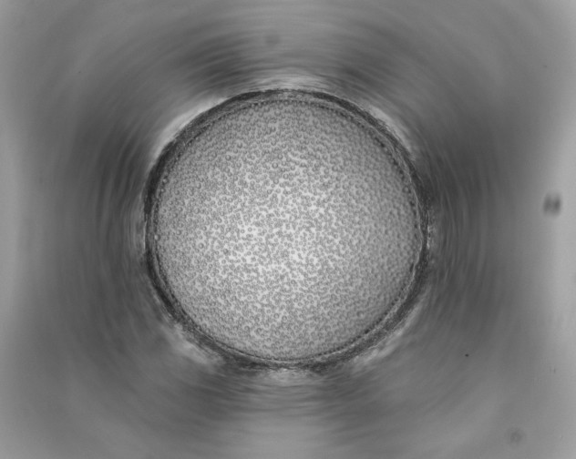 X0000090751117200708101719