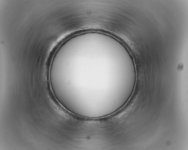 X0000090751118200708101719