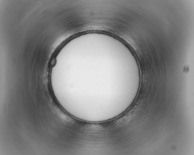 X0000090751119200708101719