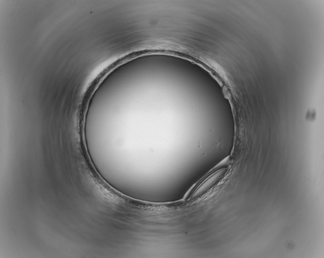 X0000090751120200708101719