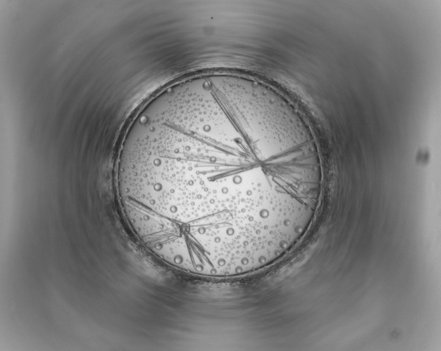 X0000090751121200708101719