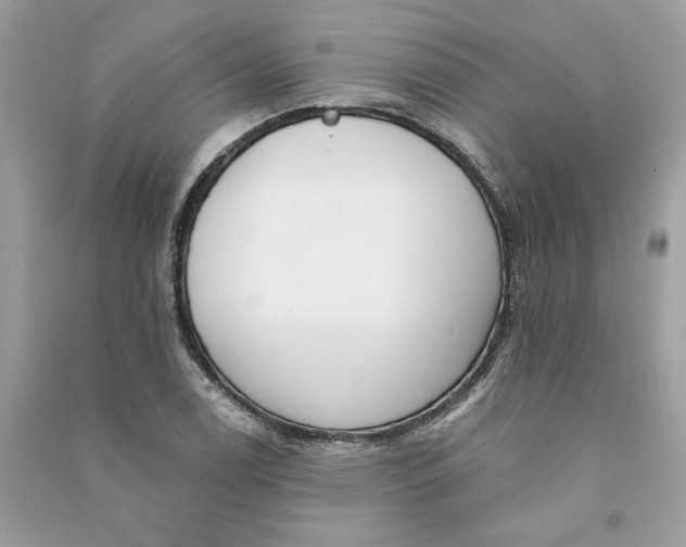 X0000090751122200708101719