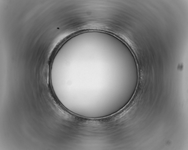 X0000090751123200708101719