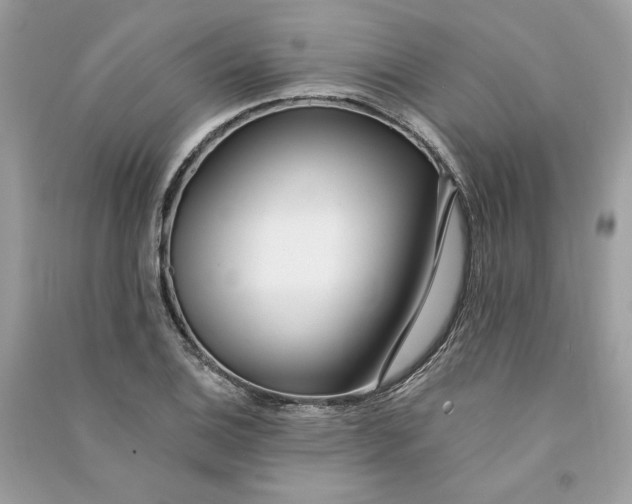 X0000090751124200708101719