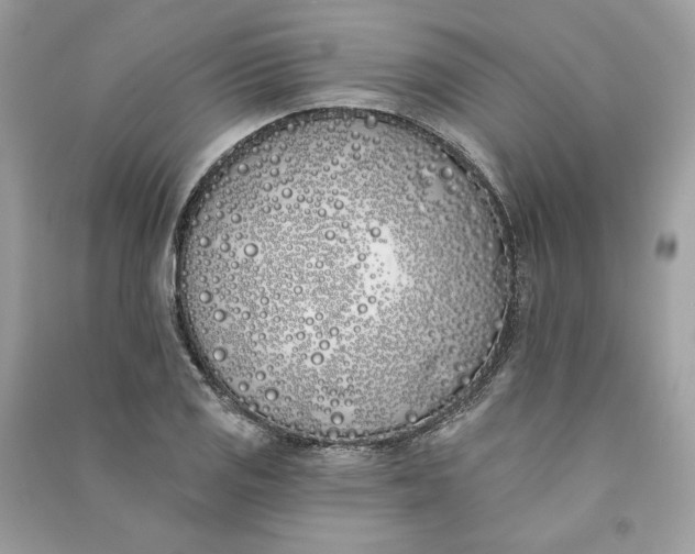 X0000090751125200708101719