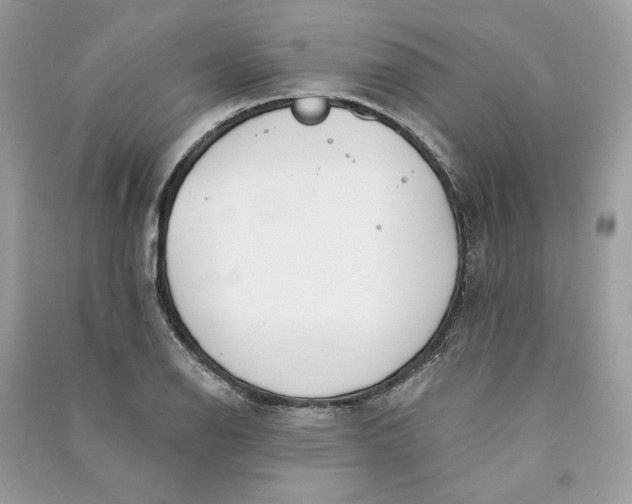 X0000090751126200708101719