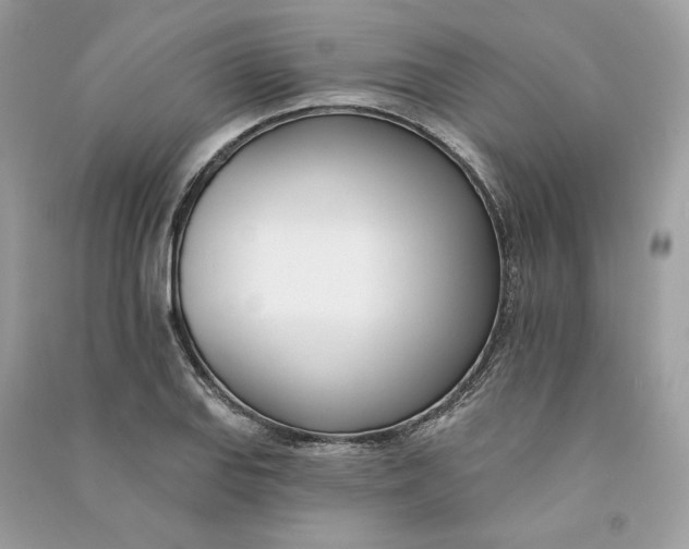 X0000090751127200708101719