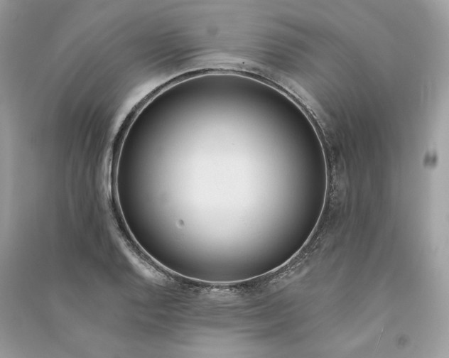 X0000090751128200708101719