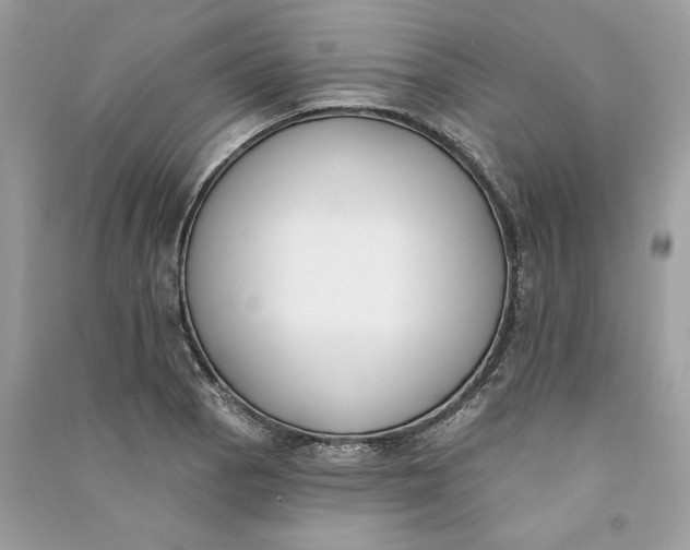 X0000090751129200708101719