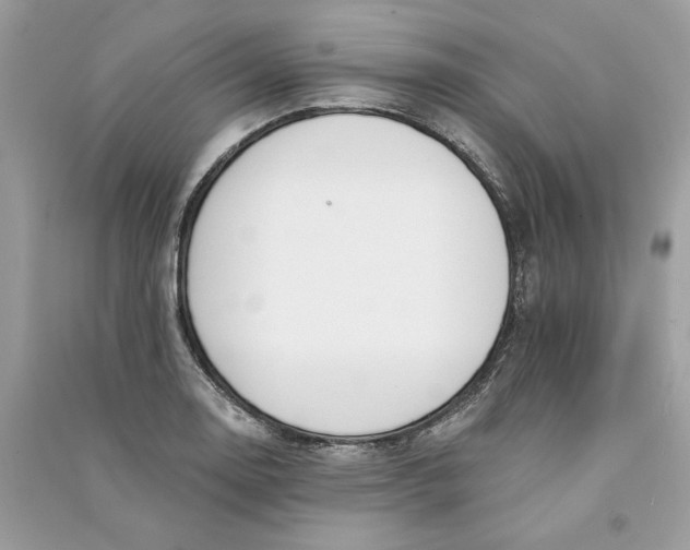 X0000090751130200708101719