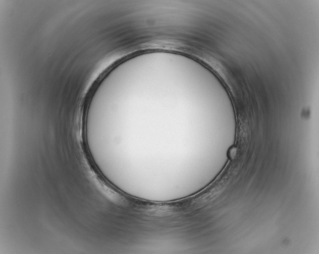 X0000090751131200708101719