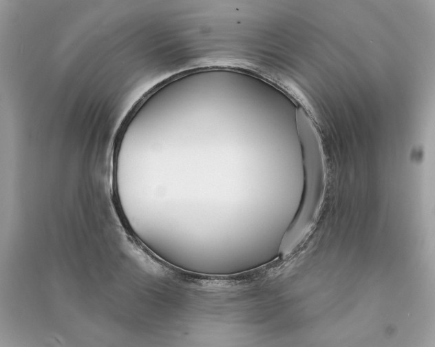 X0000090751132200708101719