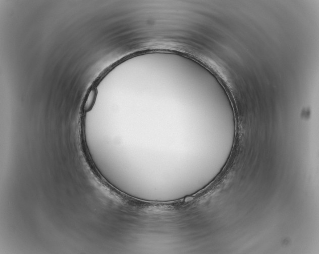 X0000090751133200708101719